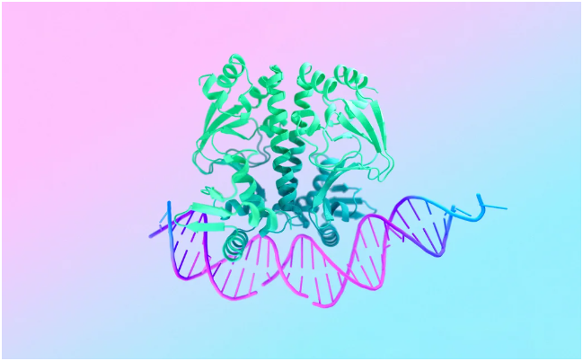 Google DeepMind AlphaFold 3 AI Model Predicts Life's Molecules.